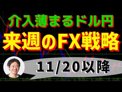 FXトレード戦略 11/20(月)以降　介入薄まるドル円